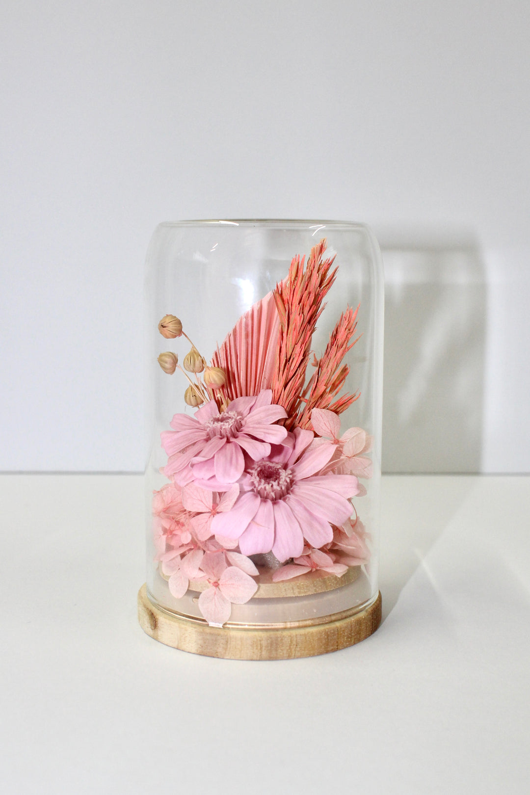 Dried Dome - Preserved Pink
